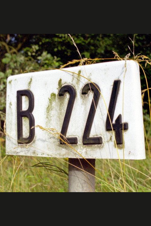 B 224 1999 official movie poster