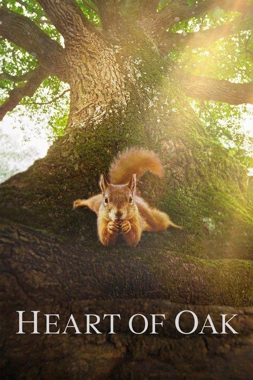 Heart of an Oak 2022 official movie poster