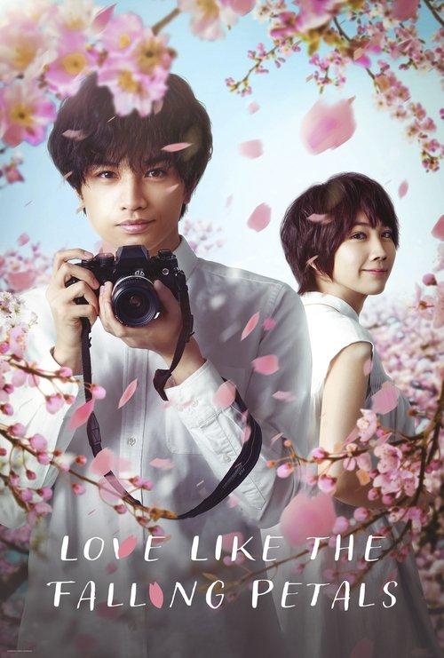 Love Like the Falling Petals 2022 official movie poster