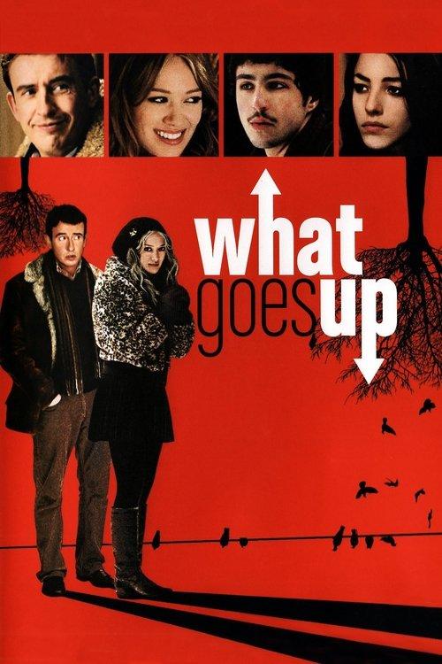 What Goes Up 2009 official movie poster