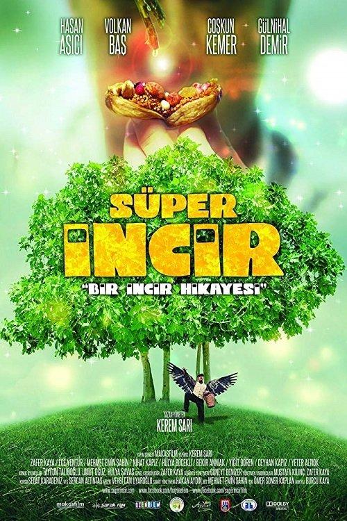 Super Fig 2013 official movie poster