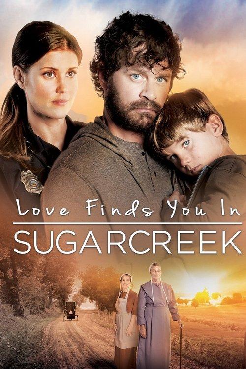 Love Finds You In Sugarcreek 2014 official movie poster