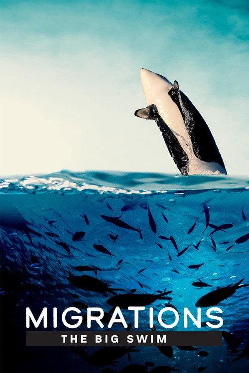 Migrations: The Big Swim 2020 official movie poster