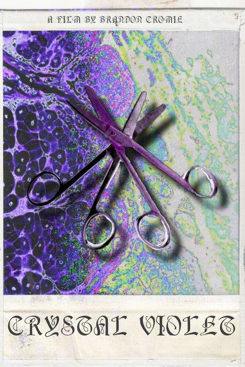 Crystal Violet 2024 official movie poster