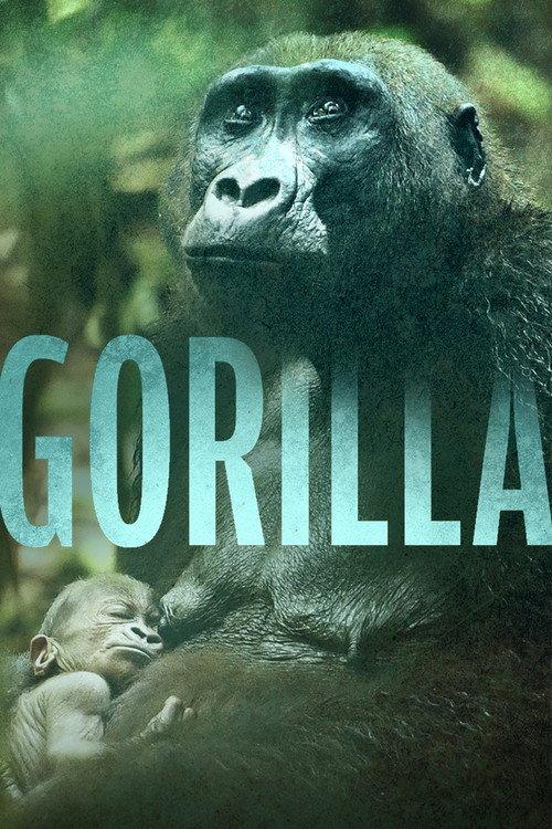 Gorilla 2024 official movie poster