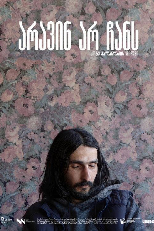 Nobody In Sight 2025 official movie poster