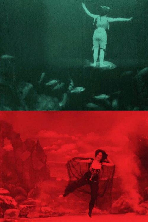 The Dancer's Dream 1905 official movie poster