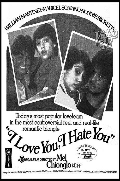 I Love You, I Hate You 1982 official movie poster
