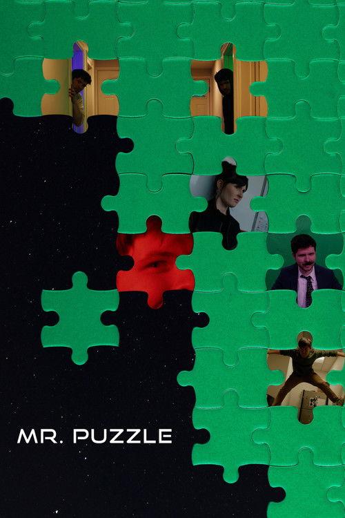 Mr. Puzzle 2026 official movie poster