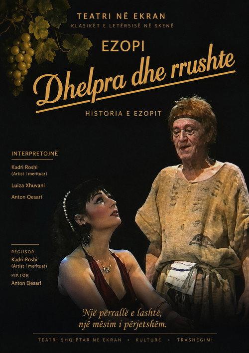 Dhelpra dhe rrushte 1991 official movie poster