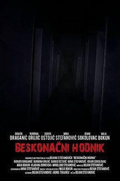 Endless Corridor 2013 official movie poster