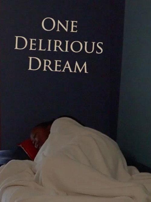 One Delirious Dream 2023 official movie poster