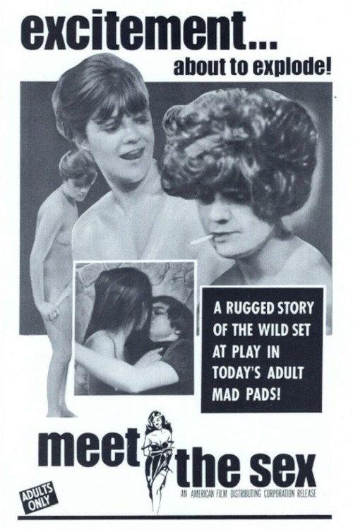 Meet The Sex 1969 official movie poster