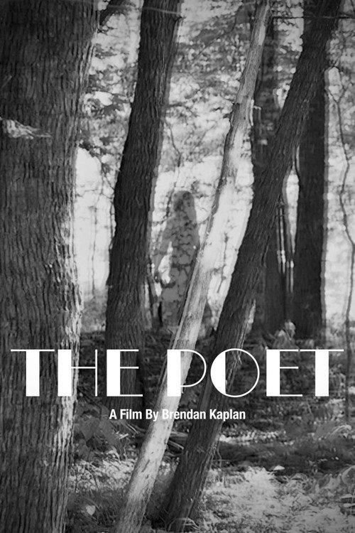 The Poet 2023 official movie poster