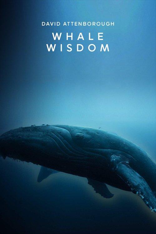 Whale Wisdom 2018 official movie poster