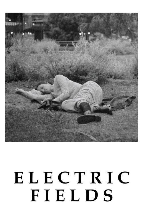 Electric Fields 2024 official movie poster