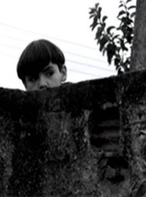 O Muro 2009 official movie poster