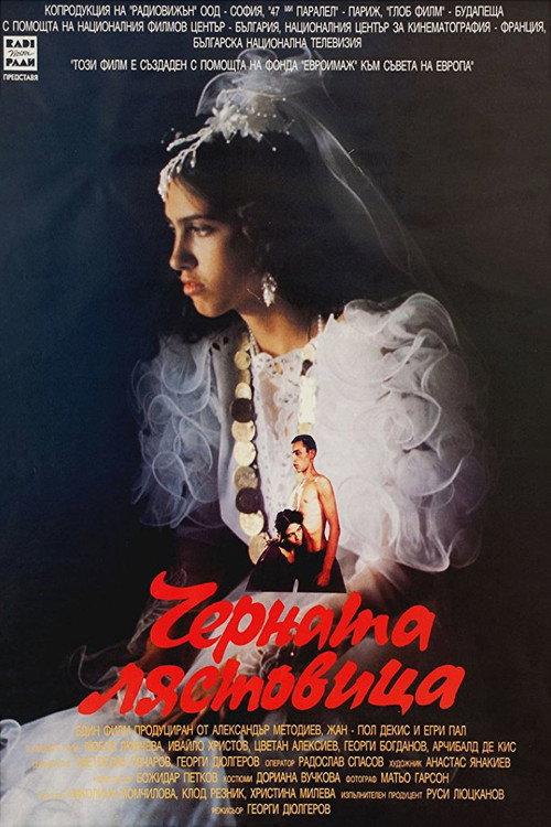The Black Swallow 1997 official movie poster