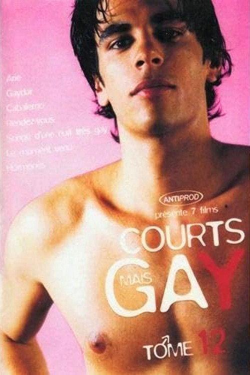 Courts mais Gay : Tome 12 2006 official movie poster