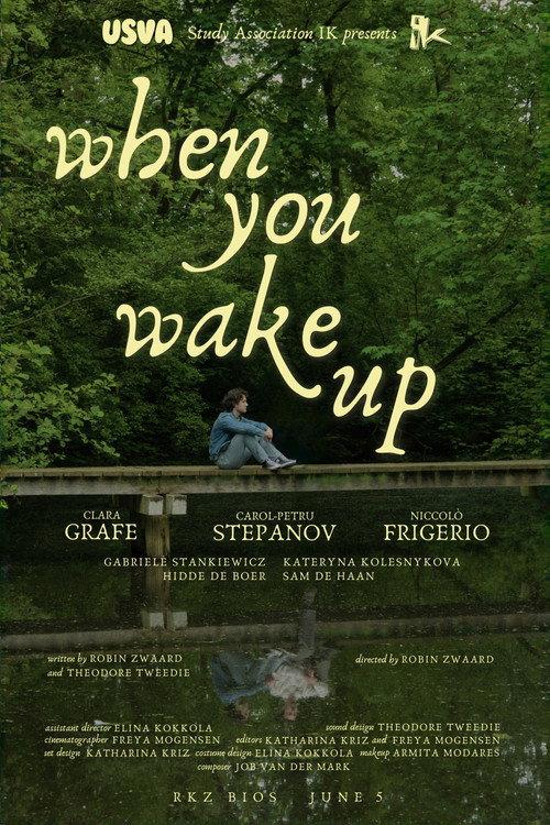 When You Wake Up 2026 official movie poster
