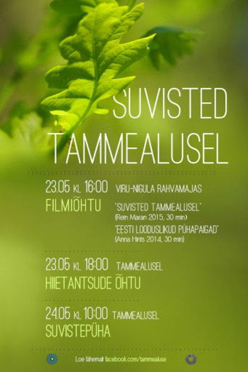 Suvisted Tammealusel 2015 official movie poster