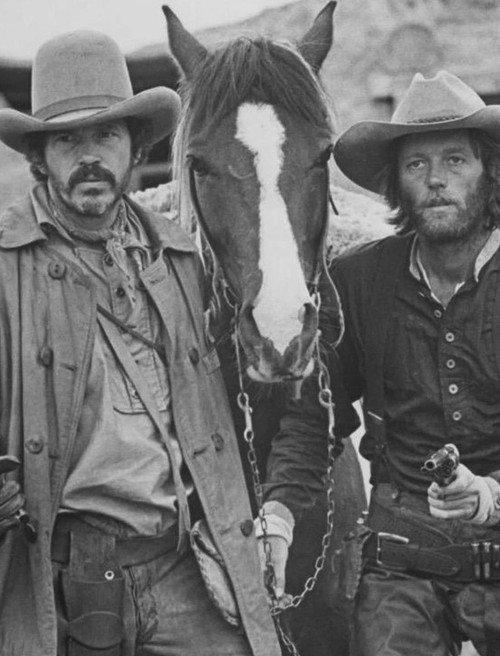 Return of the "Hired Hand" 2003 official movie poster