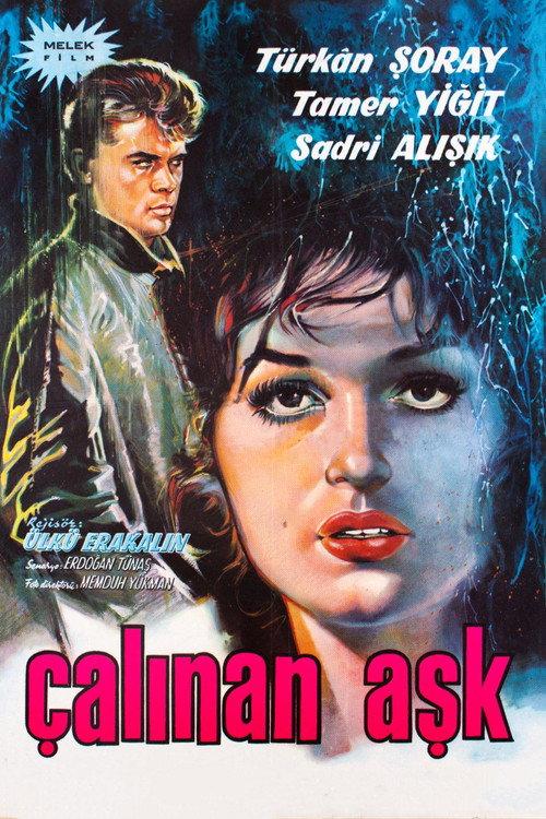 The Stolen Love 1963 official movie poster