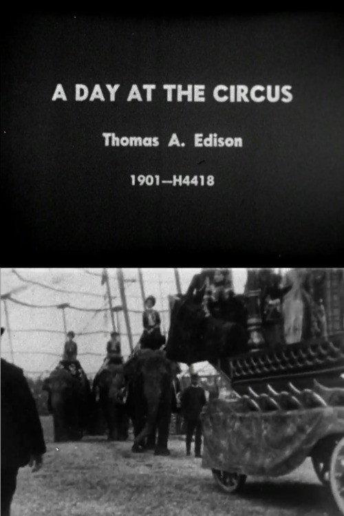 Day at the Circus 1901 official movie poster