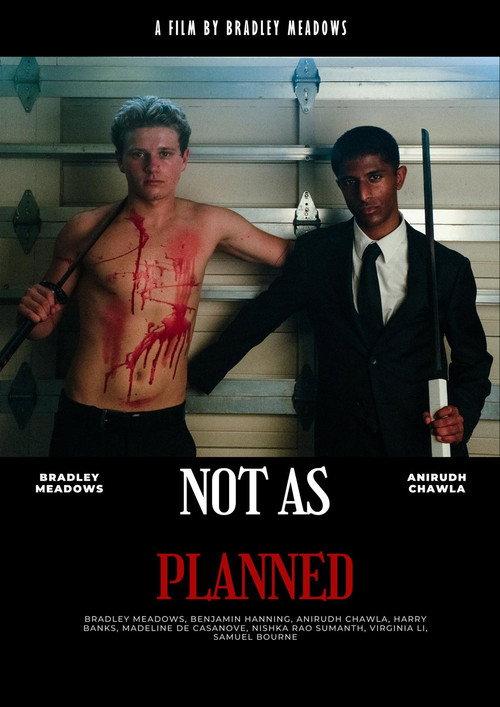 Not As Planned 2026 official movie poster