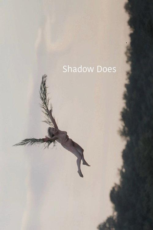 Shadow Does 2023 official movie poster