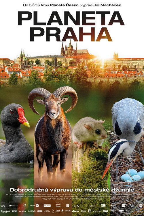 Wild Prague 2022 official movie poster