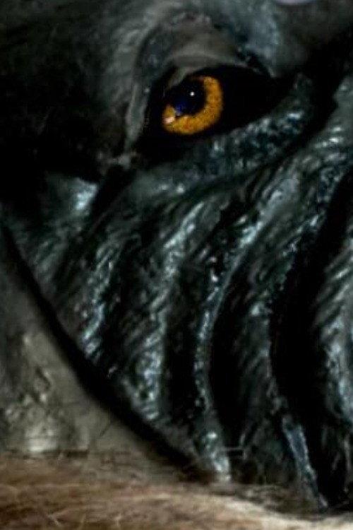 The Werewolf of Chatsford 2018 official movie poster