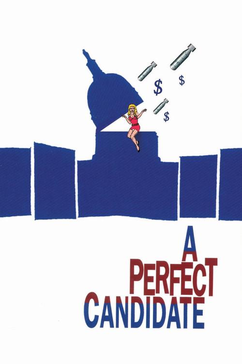 A Perfect Candidate 1996 official movie poster