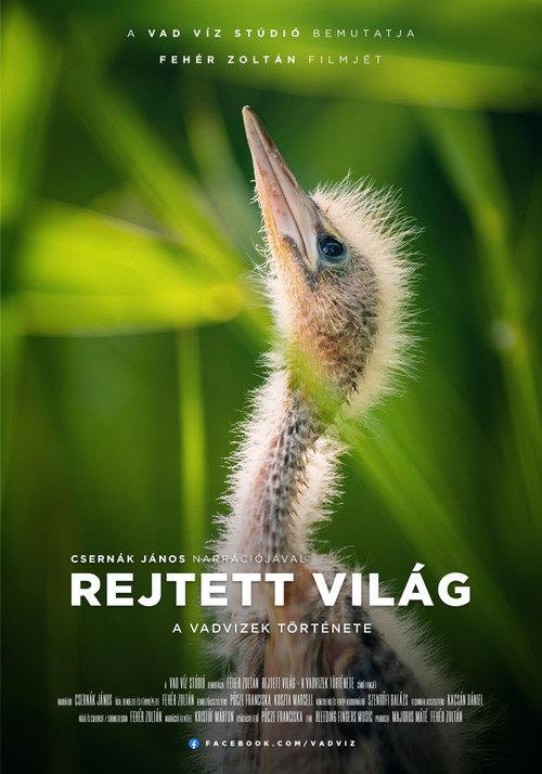 Hidden World: The Story of Hungary's Wild Waters 2023 official movie poster