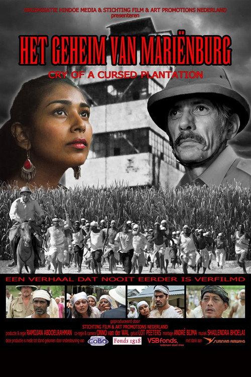 Cry of a Cursed Plantation 2013 official movie poster