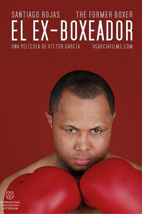 The Former Boxer 2010 official movie poster