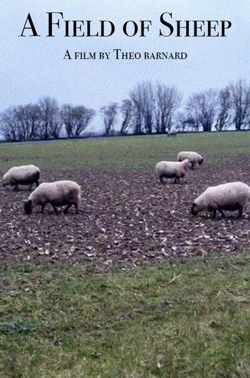 A Field of Sheep 2024 official movie poster