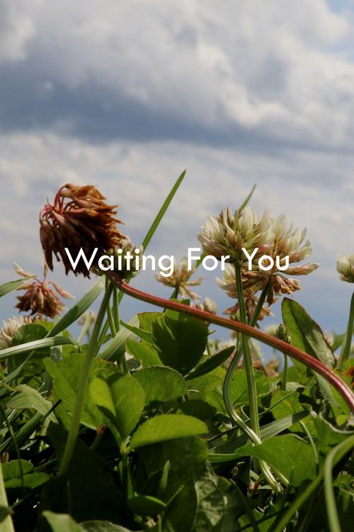 Waiting For You 2024 official movie poster