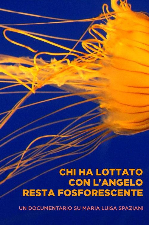 Chi ha lottato con l'angelo resta fosforescente 2013 official movie poster