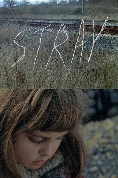 Stray 2013 official movie poster