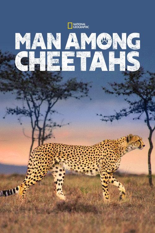 Man Among Cheetahs 2017 official movie poster