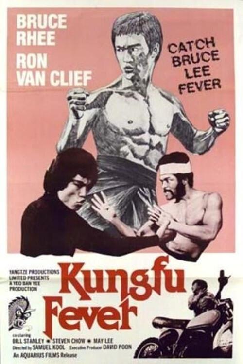 Kung Fu Fever 1979 official movie poster