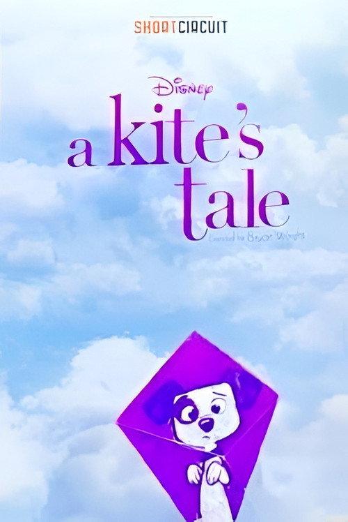 A Kite's Tale 2019 official movie poster