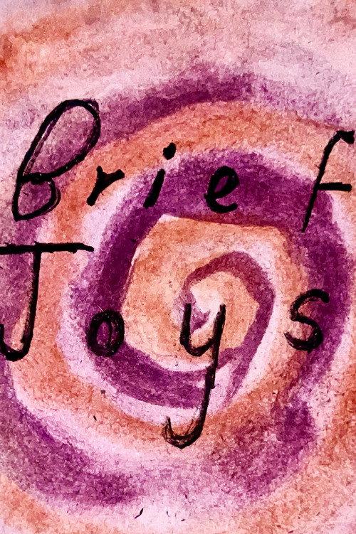Brief Joys 2026 official movie poster