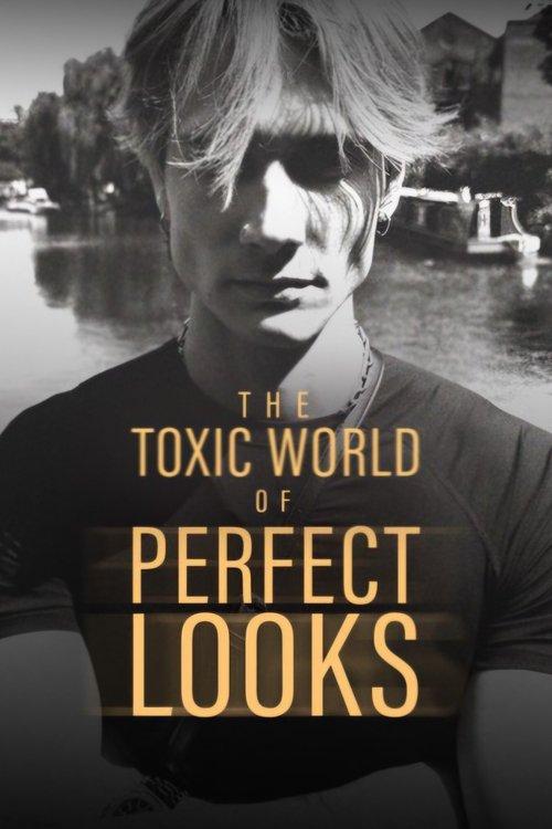 The Toxic World Of Perfect Looks 2024 official movie poster