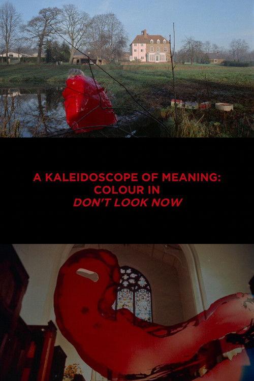 A Kaleidoscope of Meaning: Colour in Don't Look Now 2019 official movie poster