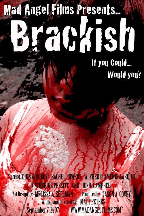 Brackish 2007 official movie poster