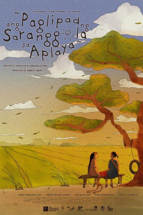 When Kites Flew Over Seas and Mountains 2025 official movie poster