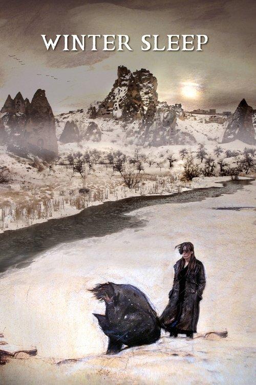 Winter Sleep 2014 official movie poster