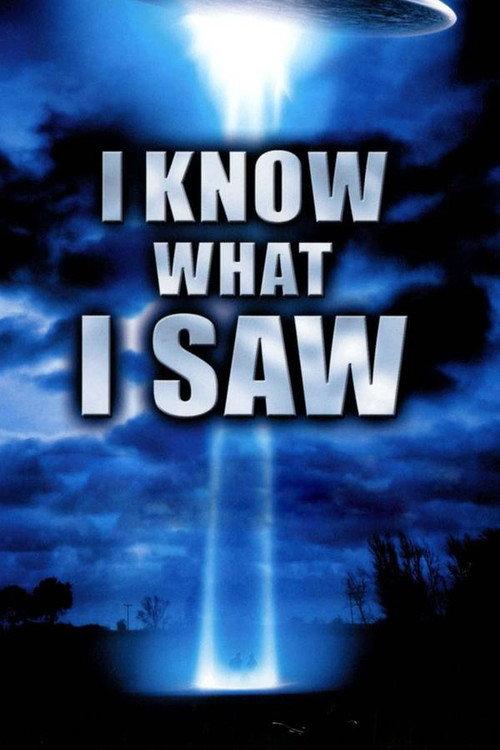 I Know What I Saw 2009 official movie poster
